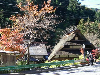 s_IMGP0448s.png